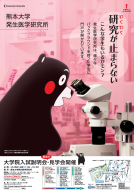 2012kumamon